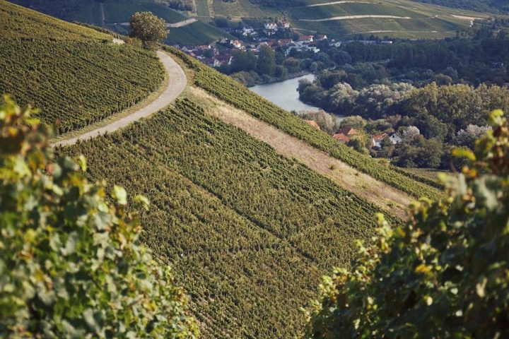 Oldtimer Hochzeitsauto in der Region Schweinfurt & Würzburg